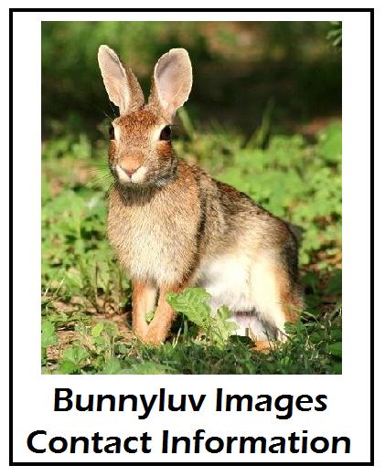 Contact Information Image