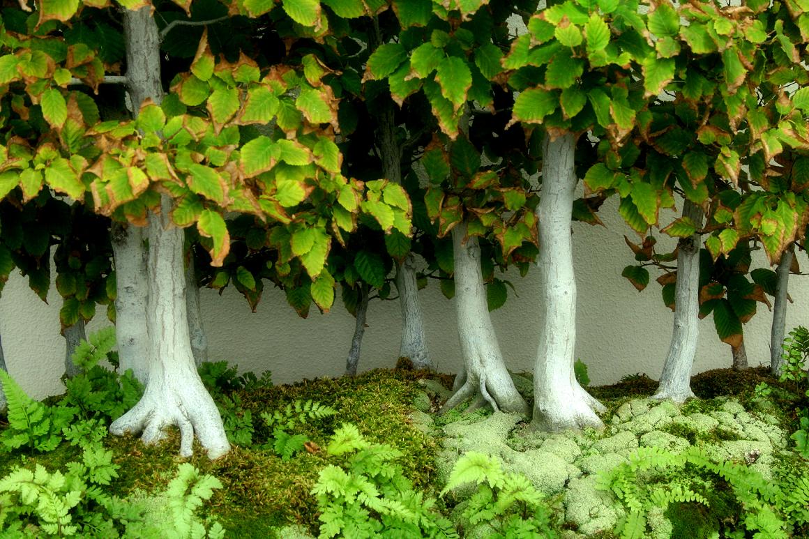 Image of Longwood Gardens