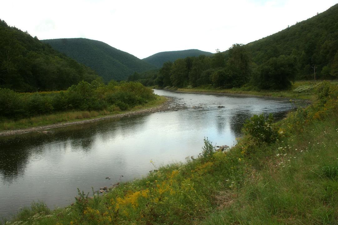 Image of Pine Creek